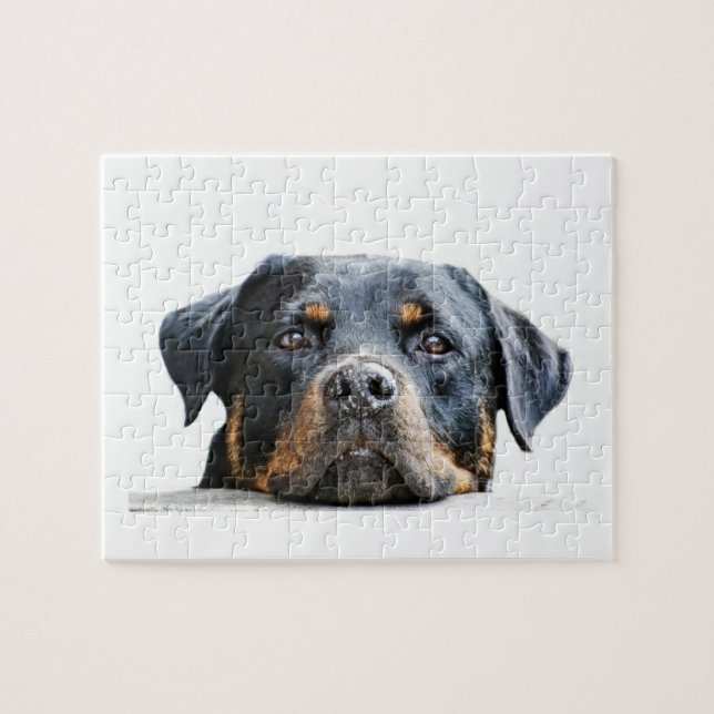 Niedliches Rottweiler | Hundezucht-Gesicht (Horizontal)