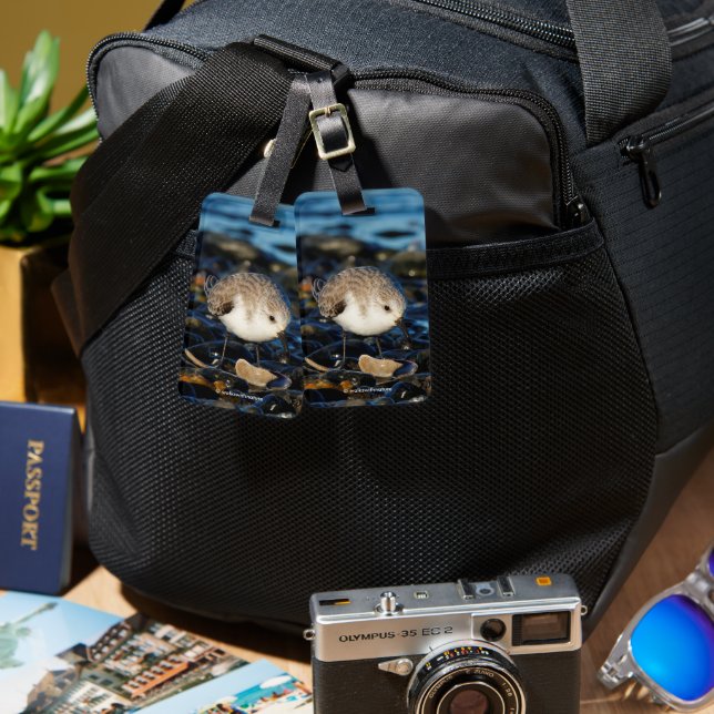 Niedliches Sanderling genießt Meeresfrüchte Essen  Gepäckanhänger (Vorderseite & Rückseite)