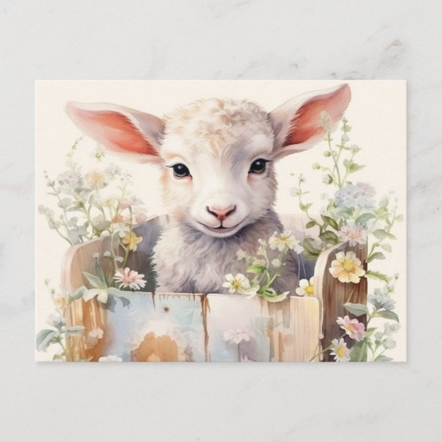 Niedliches Schaf in einer Schachtel Postkarte (Vorderseite)
