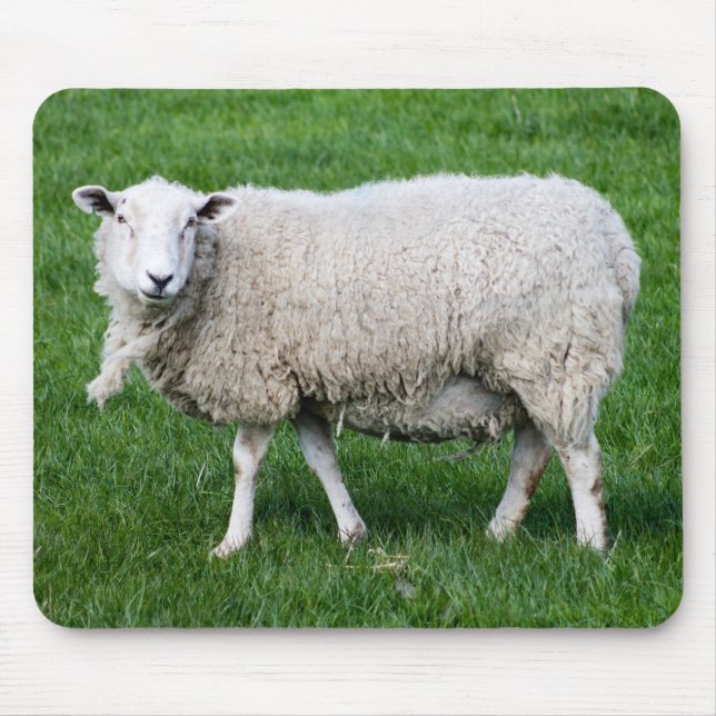 Niedliches Schaf Mousepad (Vorne)