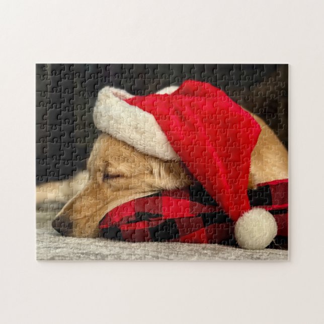 Niedliches Schlafen Golden Retriever Hund Weihnach (Horizontal)