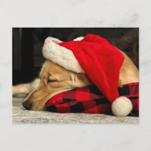 Niedliches Schlafen Golden Retriever Hund Weihnach Postkarte