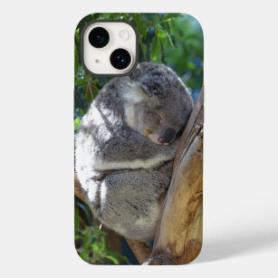 Niedliches Schlafen Koala in Bäumen Case-Mate iPhone 14 Hülle