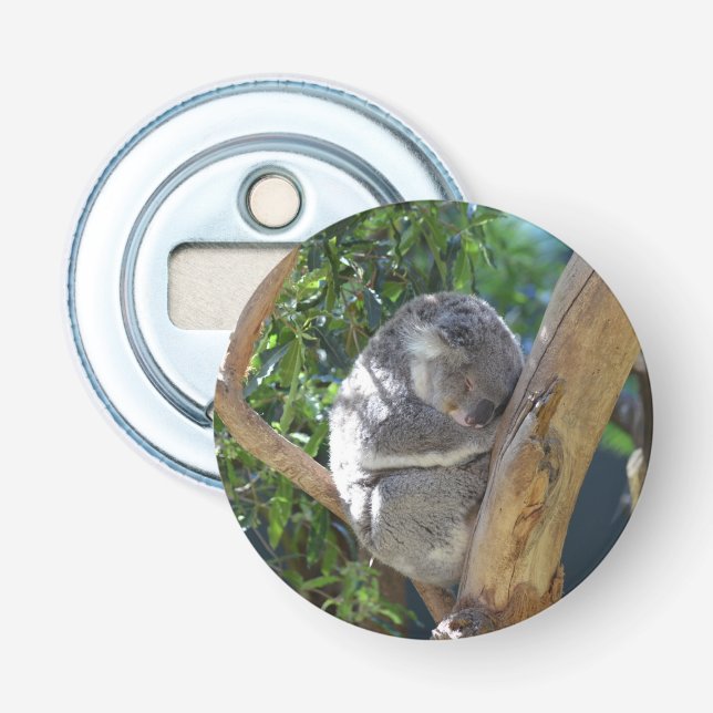 Niedliches Schlafen Koala in Bäumen Flaschenöffner (Vorderseite)