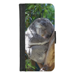 Niedliches Schlafen Koala in Bäumen iPhone 8/7 Geldbeutel-Hülle