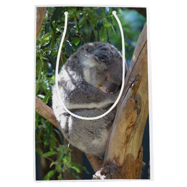 Niedliches Schlafen Koala in Bäumen Mittlere Geschenktüte (Vorderseite)