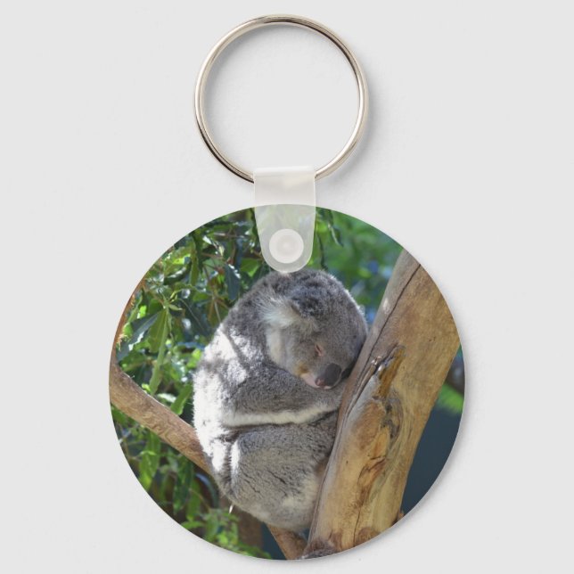 Niedliches Schlafen Koala in Bäumen Schlüsselanhänger (Vorderseite)
