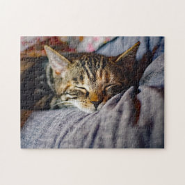 Niedliches Schlafen Tabby Cat Foto