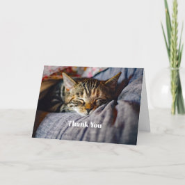 Niedliches Schlafen Tabby Cat Foto Vielen Dank Dankeskarte
