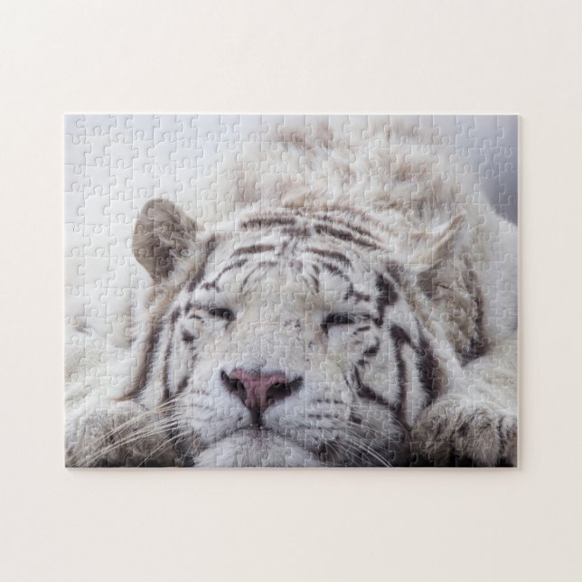 Niedliches Schlafen White Tiger (Horizontal)