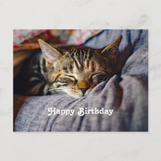 Niedliches Schlaftablett Katze Foto Geburtstag Postkarte (Vorderseite)