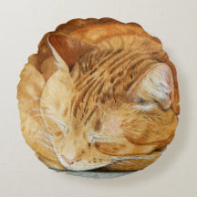 Niedliches, schlankes Katzenwirbelkissen
