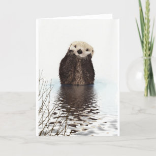 Niedliches, schmeichelhaftes Otter Karte