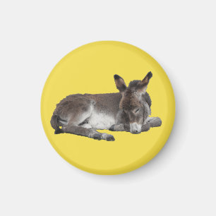 Niedliches Schokoladenkaffee Schlafen Magnet