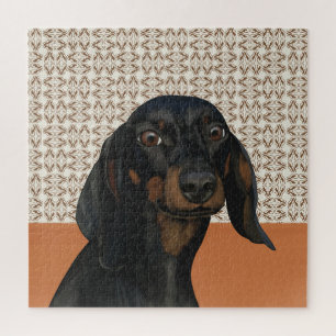 Niedliches Schwarz-Dackel-Dog-Portrait