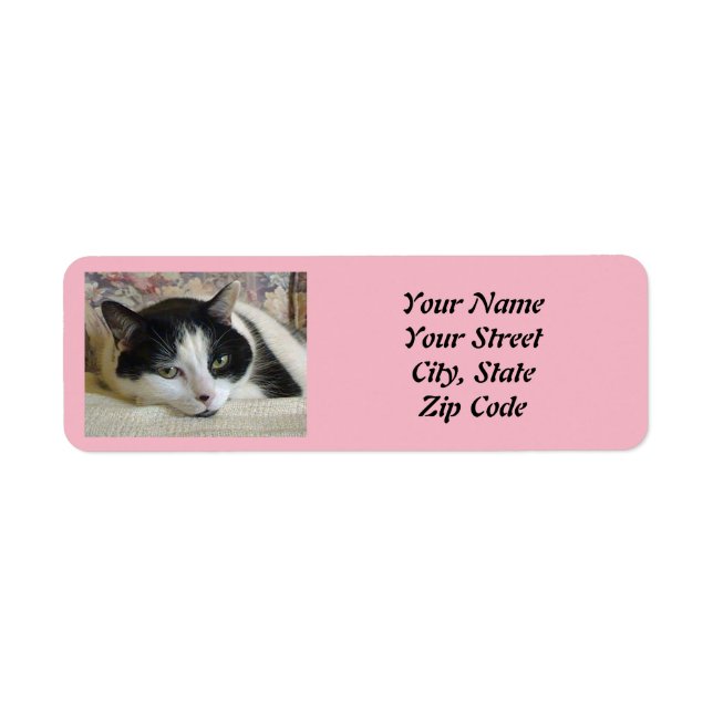 Niedliches Schwarz-weißes Cat Foto Rosa (Vorne)