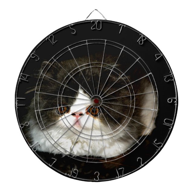 Niedliches Schwarz-weißes Katzenragdoll Foto Dartscheibe (vorne)