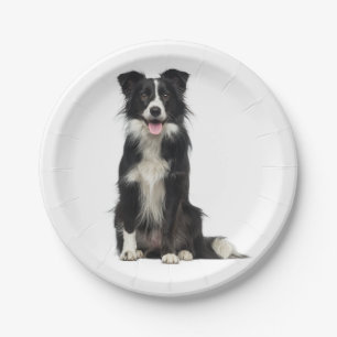 Niedliches Schwarz-weißes Puppy-Dose-Border-Colli Pappteller