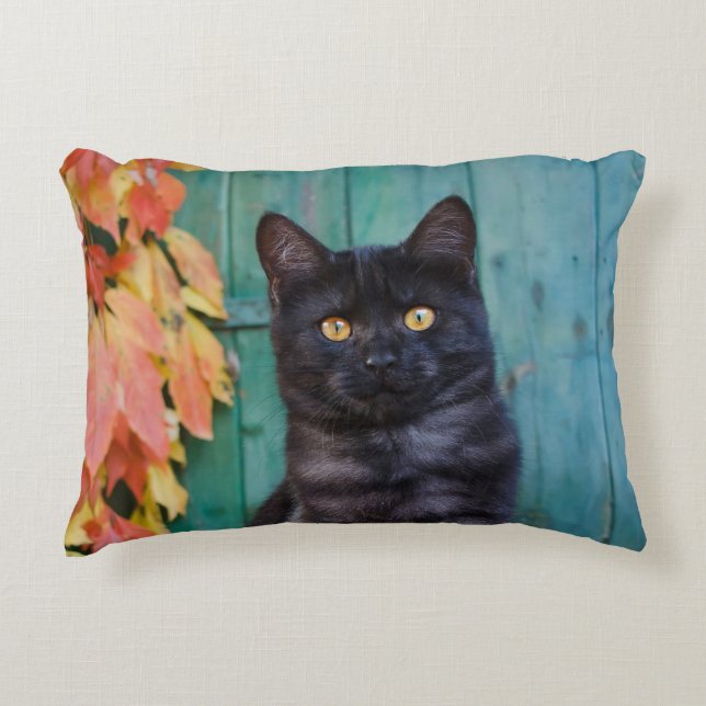 Niedliches schwarze Katzen-Kätzchen mit Rot Zierkissen (Vorderseite)