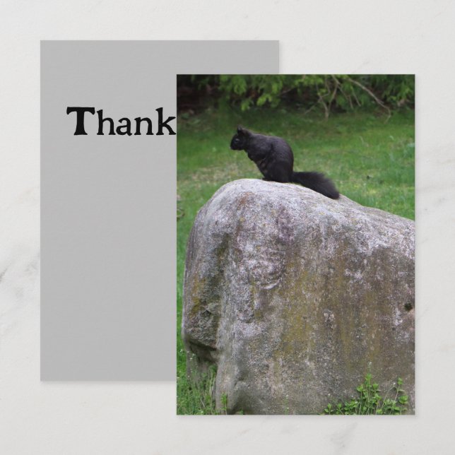 Niedliches Schwarzes Eichhörnchen auf einem Rock N Dankeskarte (Vorne/Hinten)