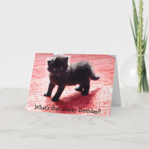 Niedliches schwarzes Kätzchen - lustige Geburtstag Karte