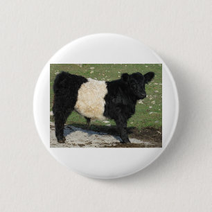 Niedliches Schwarzes umgeschnalltes Galloway-Kalb Button