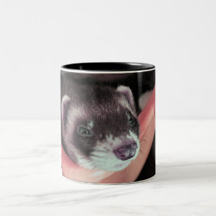 Niedliches Schwarzfärbendes Frettchen-Foto Zweifarbige Tasse