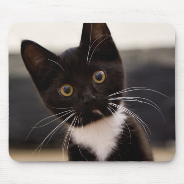 Niedliches Schwarzweiss-Tuxedo-Kätzchen Mousepad (Vorne)
