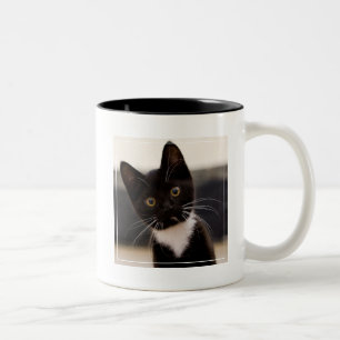 Niedliches Schwarzweiss-Tuxedo-Kätzchen Zweifarbige Tasse