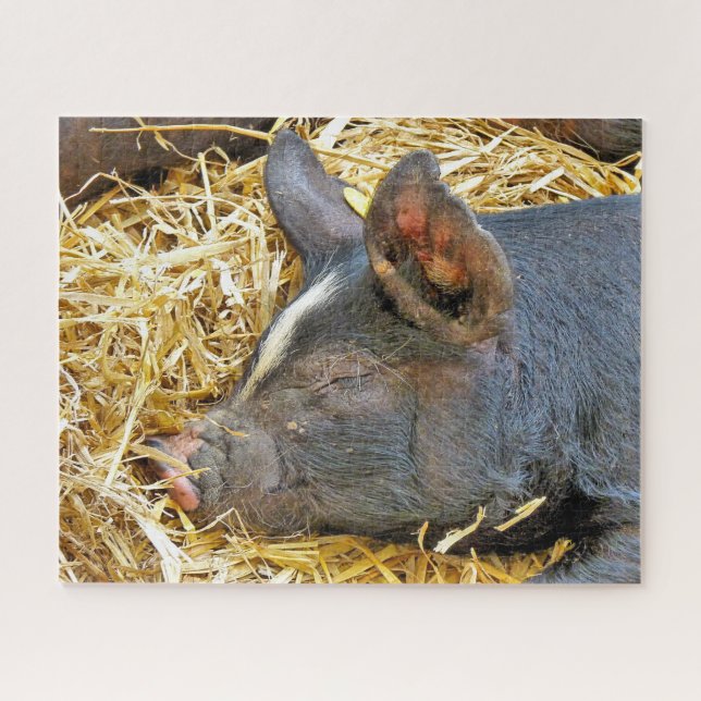NIEDLICHES SCHWEIN (Horizontal)