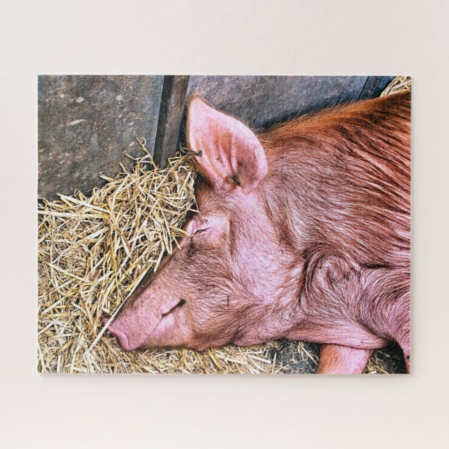 NIEDLICHES SCHWEIN (Horizontal)