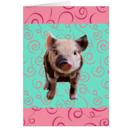 Niedliches Schwein-- blauer u. rosa Wirbel