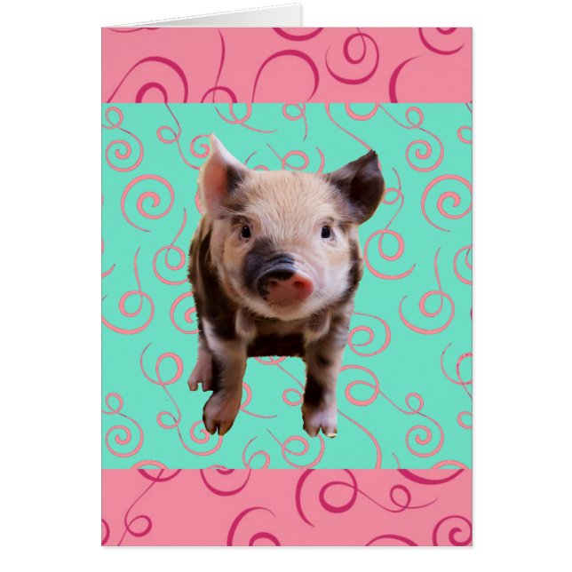 Niedliches Schwein-- blauer u. rosa Wirbel (Vorne)