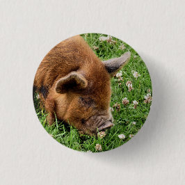 NIEDLICHES SCHWEIN BUTTON