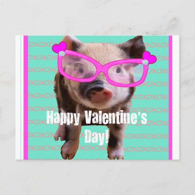 Niedliches Schwein - Glücklicher Valentinstag Feiertagspostkarte (Vorderseite)