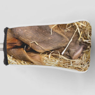 NIEDLICHES SCHWEIN GOLF HEADCOVER