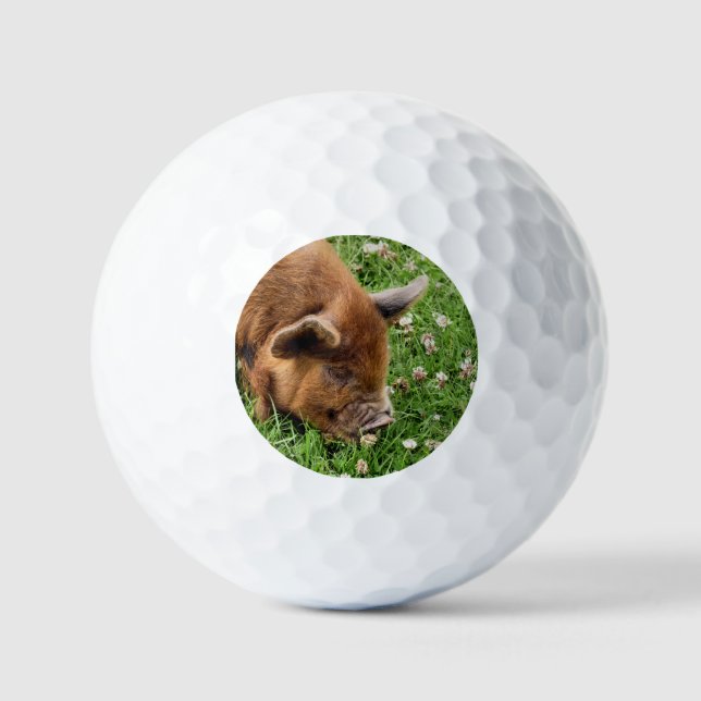 NIEDLICHES SCHWEIN GOLFBALL (Vorderseite)