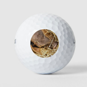 NIEDLICHES SCHWEIN GOLFBALL
