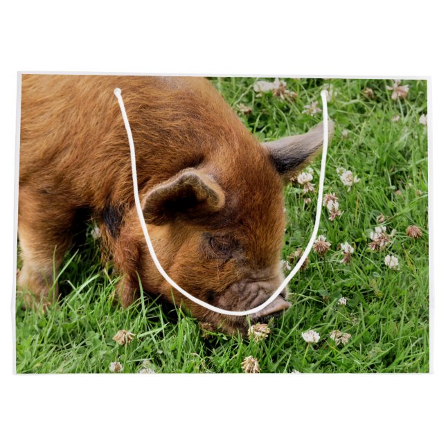 NIEDLICHES SCHWEIN GROßE GESCHENKTÜTE (Rückseite)