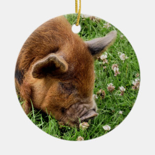 NIEDLICHES SCHWEIN KERAMIK ORNAMENT