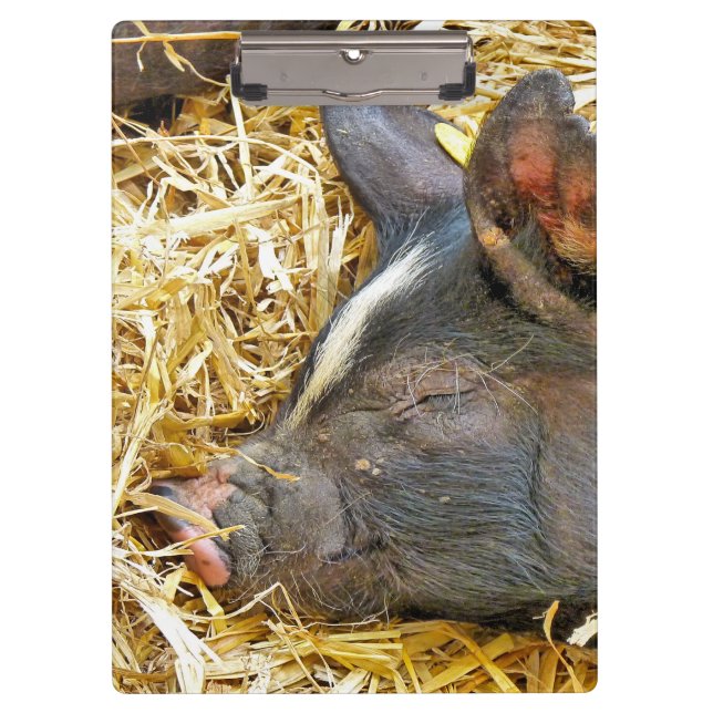 NIEDLICHES SCHWEIN KLEMMBRETT (Vorderseite)