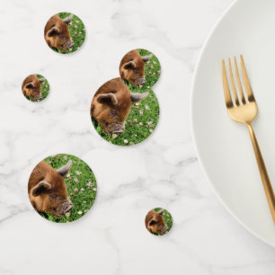 NIEDLICHES SCHWEIN KONFETTI