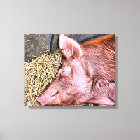 NIEDLICHES SCHWEIN
