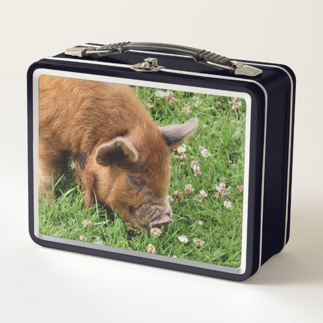 NIEDLICHES SCHWEIN METALL BROTDOSE (Vorderseite)