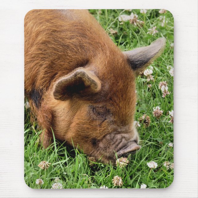 NIEDLICHES SCHWEIN MOUSEPAD (Vorne)
