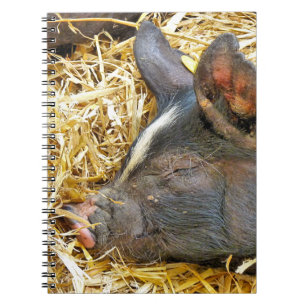 NIEDLICHES SCHWEIN NOTIZBLOCK