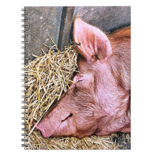 NIEDLICHES SCHWEIN NOTIZBLOCK