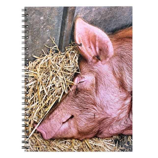 NIEDLICHES SCHWEIN NOTIZBLOCK (Vorderseite)