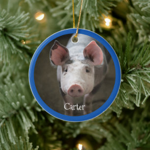 Niedliches Schwein Personalisierte Keramik Ornamen Ornament