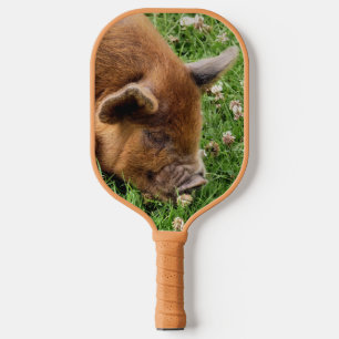 NIEDLICHES SCHWEIN PICKLEBALL SCHLÄGER